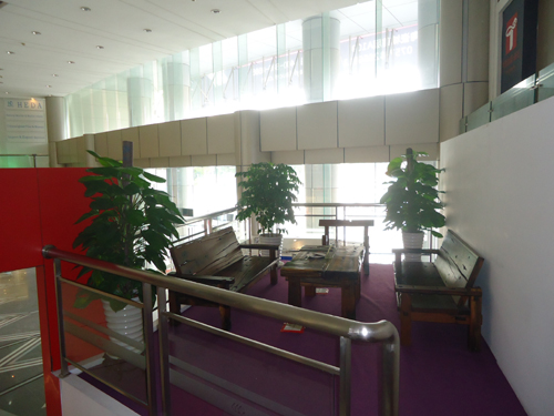 重慶大廈植物租賃室內裝飾