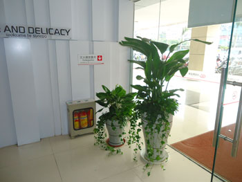 重慶大廈室內裝飾植物租擺