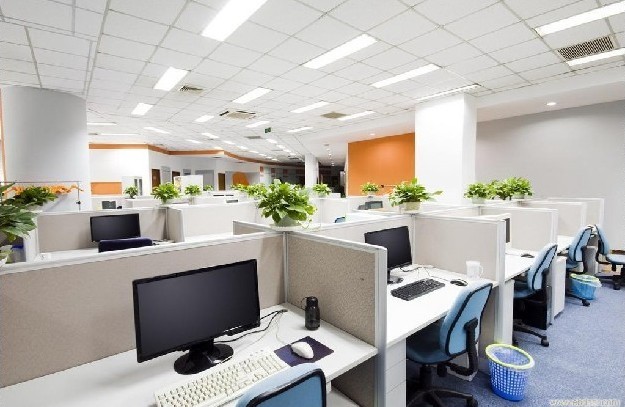 辦公室室內植物租擺