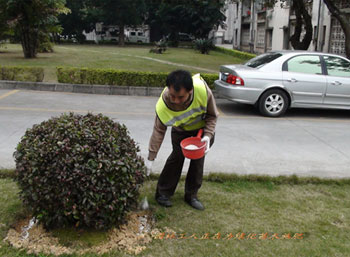 綠化養護要適時的追加合適的肥料