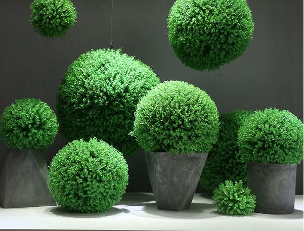 重慶植物租賃中的一些誤區