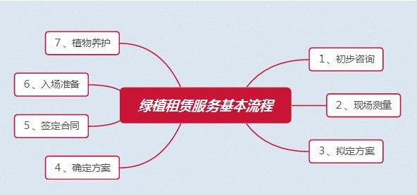 公司綠植租擺?養(yǎng)護方案你都了解多少呢