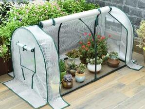 重慶植物租賃公司如何給植物保溫的？
