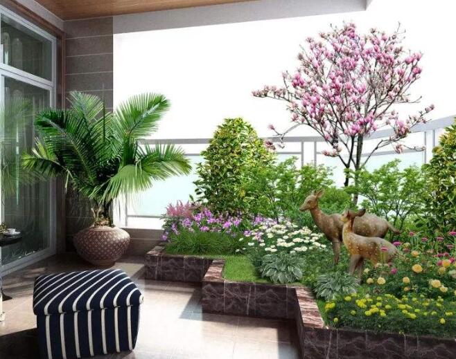 家庭適合租賃植物嗎？