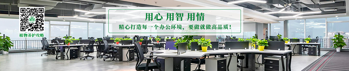 新聞中心