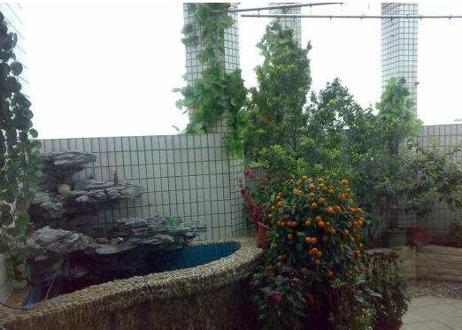 室內植物.jpg